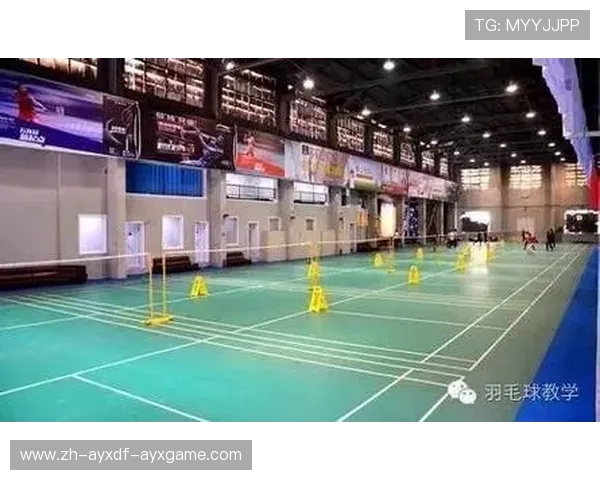 羽毛球空调韩国