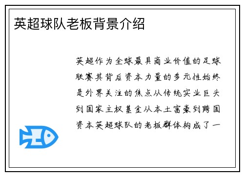 英超球队老板背景介绍